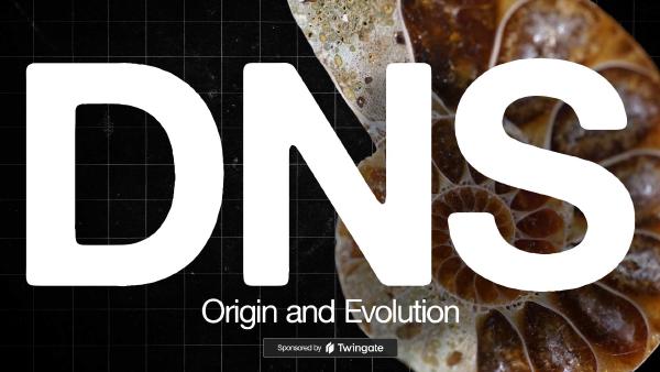 The Origin and Evolution of DNS, the Domain Name System