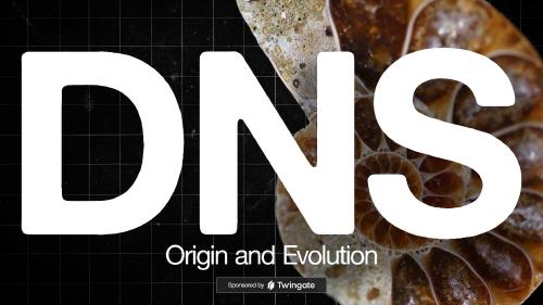 The Anatomy of DNS Zones: Roles and Functions