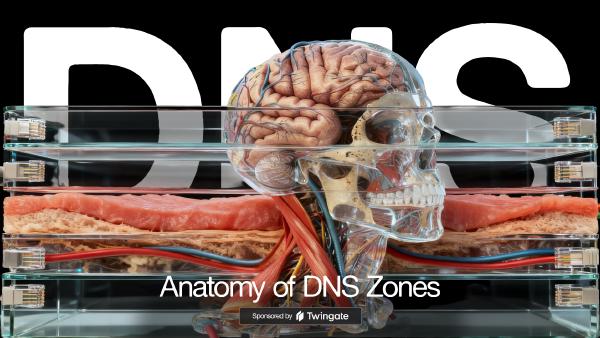 The Anatomy of DNS Zones: Roles and Functions