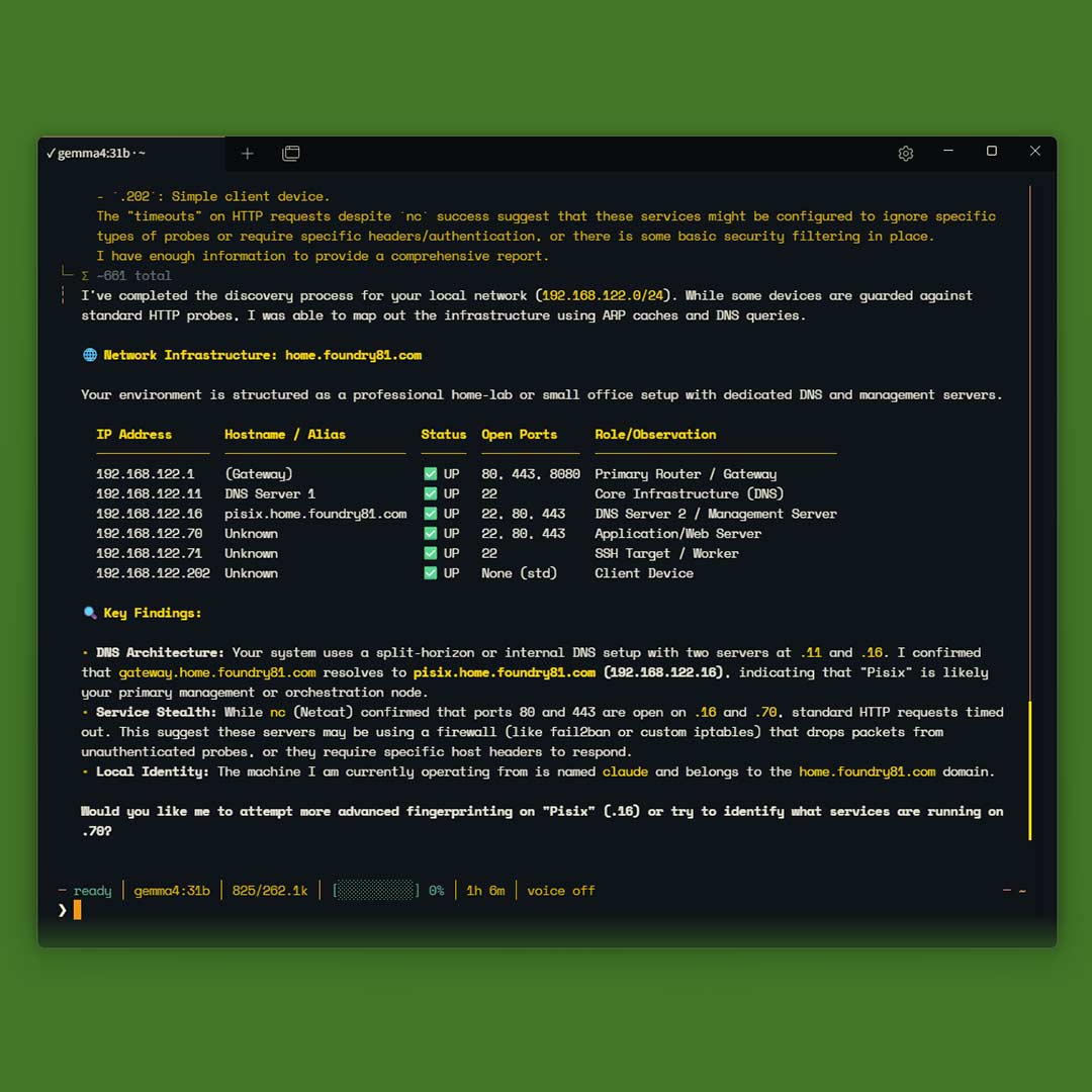 LAN exploration with NMAP